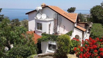Picture of villa