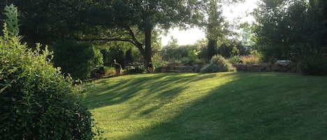 Garden view from pool
