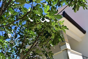Detalle exterior