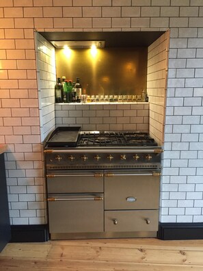Gas stove with electric fan oven