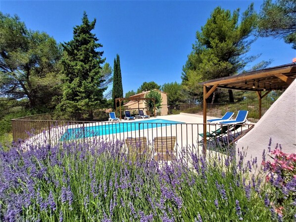 L'espace piscine entre pins et garrigue