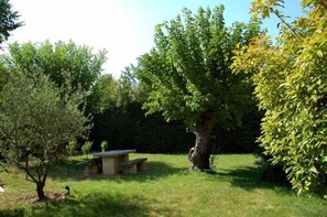 Garden, Park