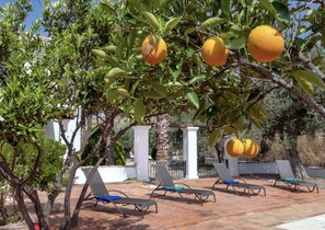 Sunloungers and pool towels provided