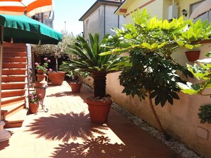 Terraço/pátio interior