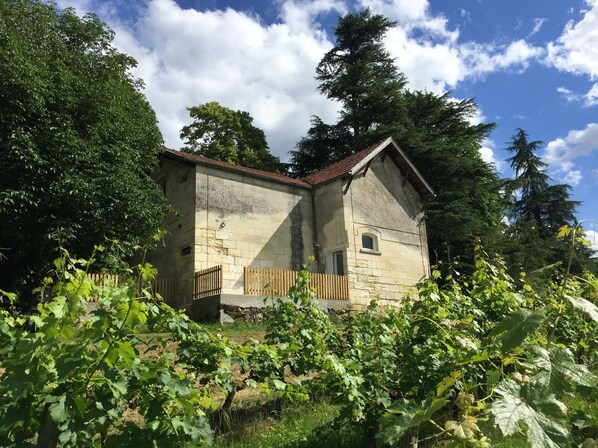 au coeur des vignobles vallonés du Fronsadais