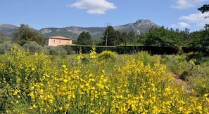 Εξωτερικός χώρος καταλύματος