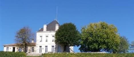 Ballade au sein du vignoble