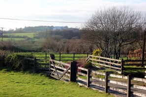 The view from the paddock