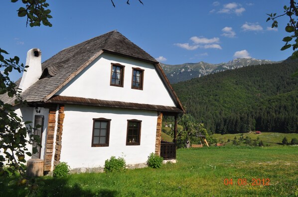 Exteriör