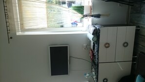 Television