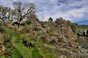 Boendeområde