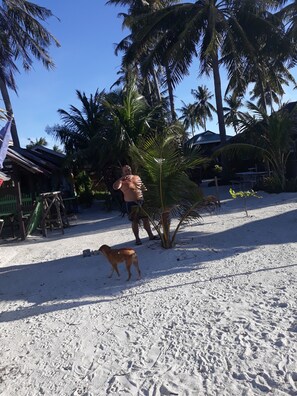 Pet-friendly