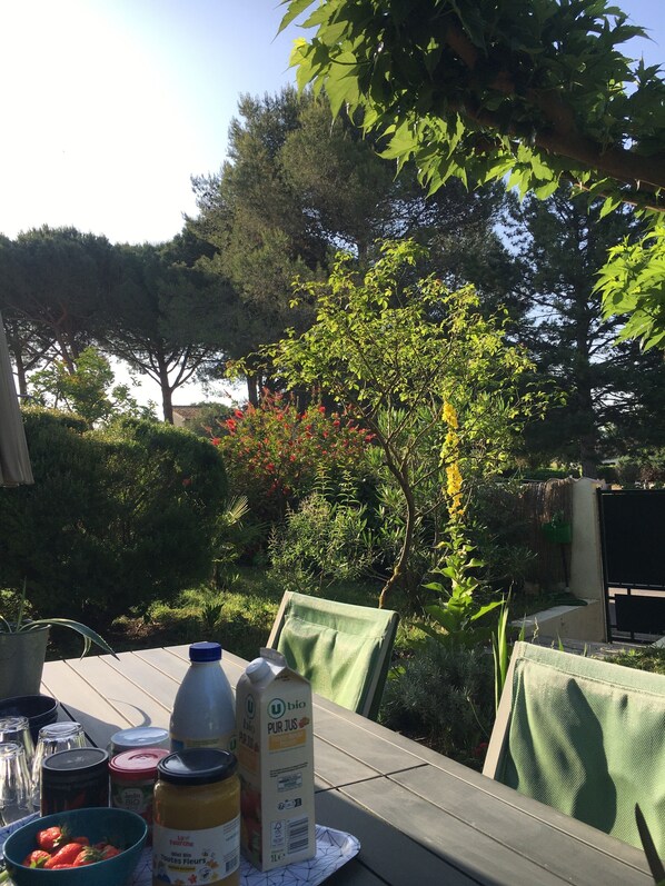 Terrasse 1