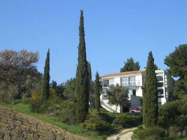 L’Amiradou between the vines