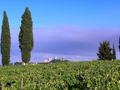 Country cottage with view - Le Papere apt