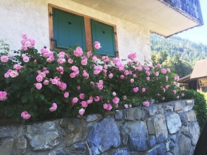 Roses in front of chalet in summer