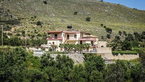The house