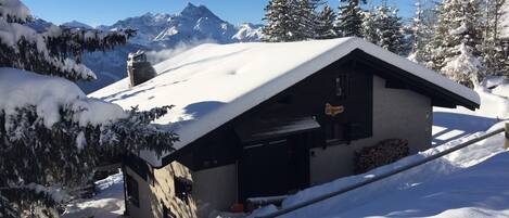 Familie chalet direct aan de piste met vrij uitzicht en grote prive tuin
