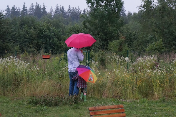 Parco della struttura