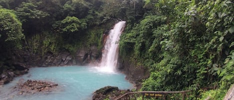 Terrenos do alojamento