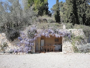 Wisteria covered fully equipped pool house