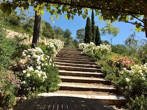 One of the rose gardens at Villa les Cascades