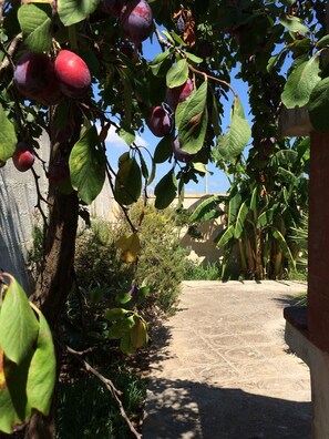 FruitGarden