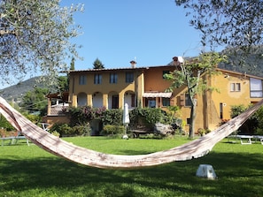 Hammock and Bouganville in the background