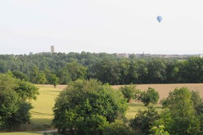 Oklassificerad bild, 5 av 19, knapp