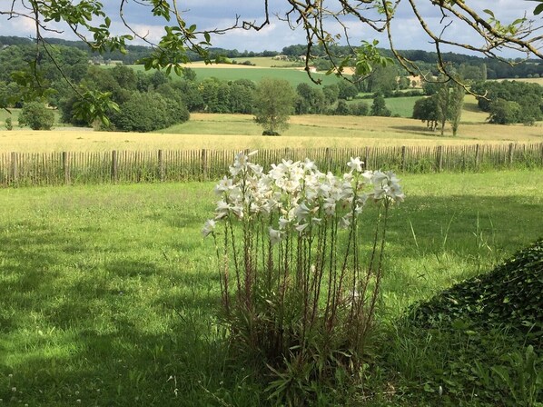 Dordogne view