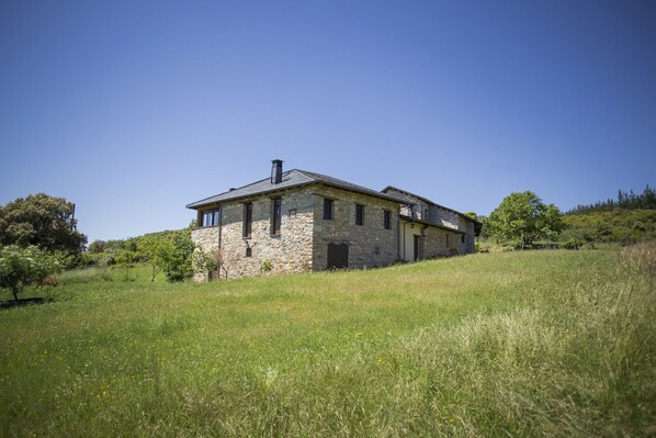 Exteriör