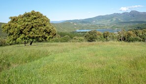 Boendeområde