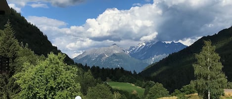 vista dal giardino sull'Adamello