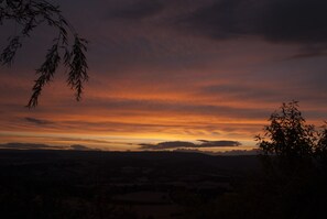 Oklassificerad bild, 4 av 25, knapp