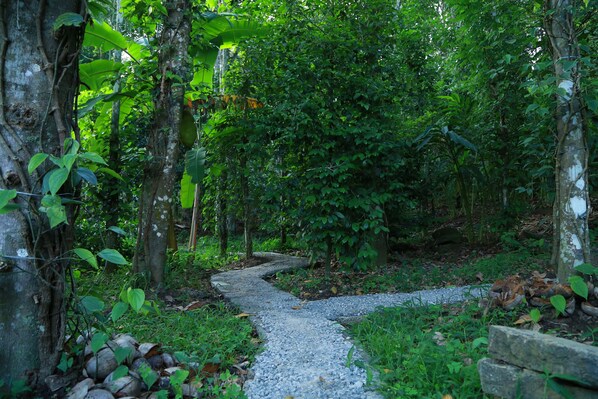 spice walk