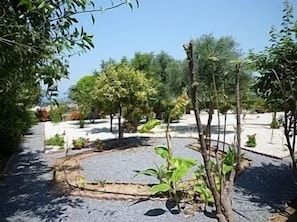 Front garden
