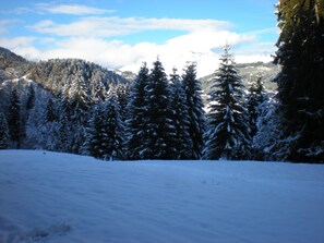 Deportes de invierno