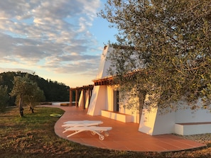 Terrace/patio
