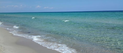 La plage à proximité immediate de l'appartement