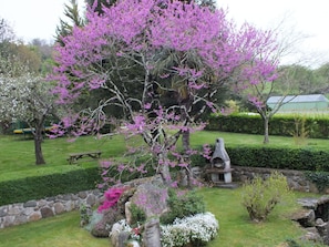 Jardines del alojamiento