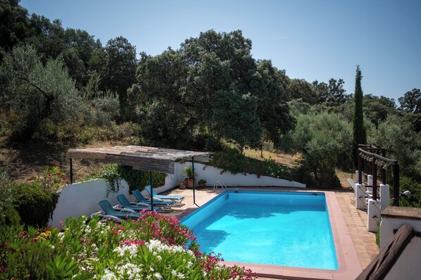 Huge swimming pool with sunbeds, terraces and pool shower