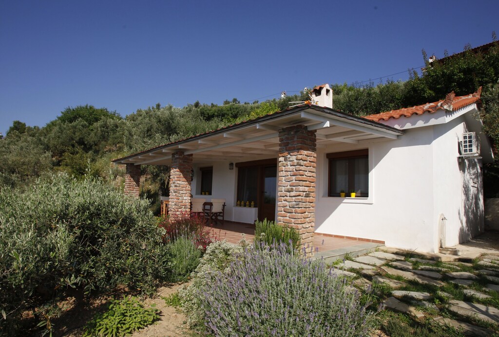 Picture of villa