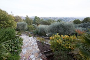 Promenade dans le jardin