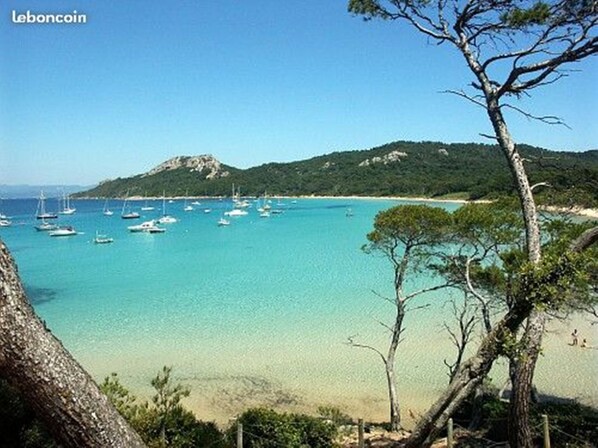 plage de Porquerolles 