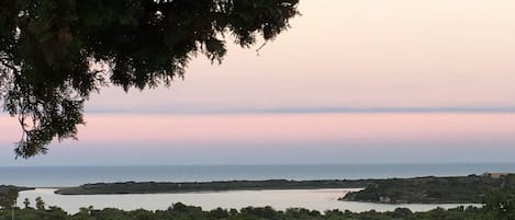 View from the terrace.