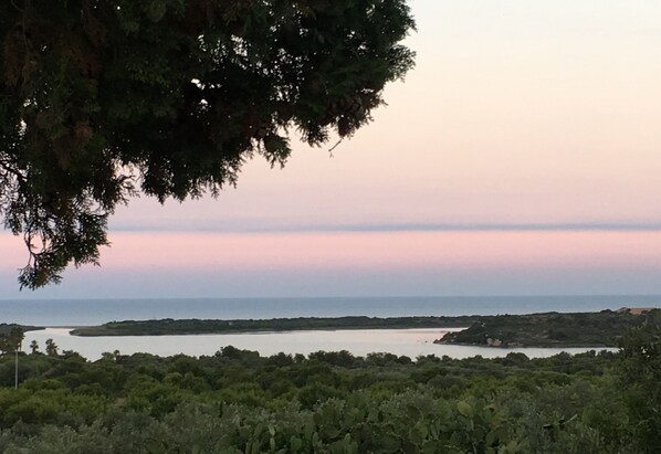 View from the terrace.