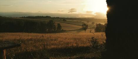 Udendørsområde