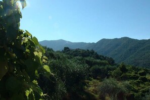 The evening views of the hillside are wonderful