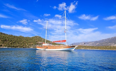 Yacht charters & Gulet cruises & Boat Trips by Captain Ergun.