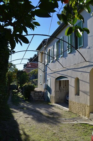 Exteriör